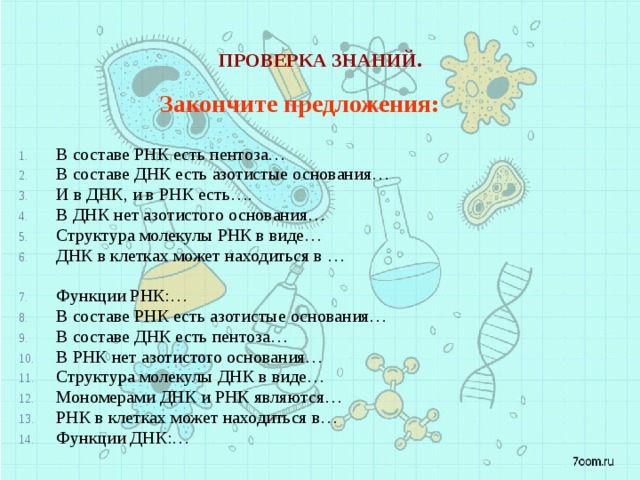 Проверка знаний. Закончите предложения:  В составе РНК есть пентоза… В составе ДНК есть азотистые основания… И в ДНК, и в РНК есть…. В ДНК нет азотистого основания… Структура молекулы РНК в виде… ДНК в клетках может находиться в … Функции РНК:… В составе РНК есть азотистые основания… В составе ДНК есть пентоза… В РНК нет азотистого основания… Структура молекулы ДНК в виде… Мономерами ДНК и РНК являются… РНК в клетках может находиться в… Функции ДНК:… 