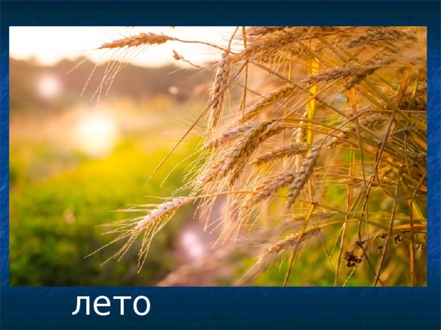 лето
