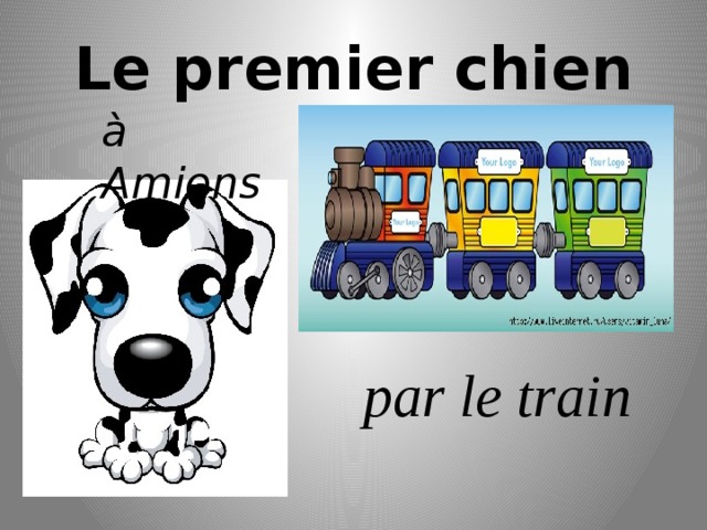 Le premier chien à Amiens par le train 