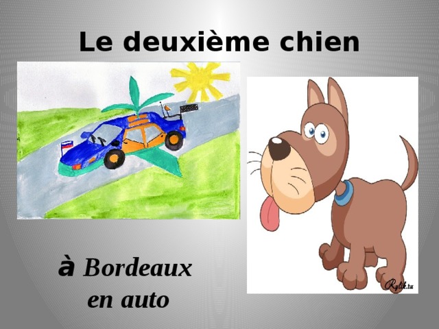 Le deuxième chien à Bordeaux  en auto 