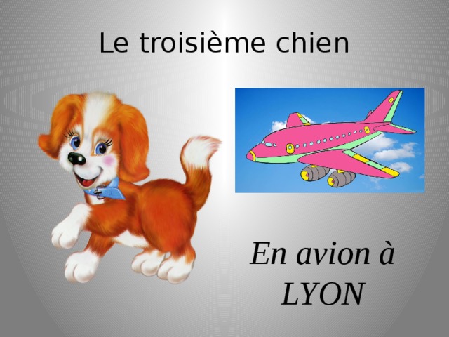 Le troisième chien En avion à LYON 