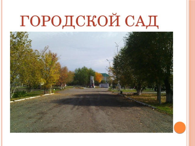 Городской сад