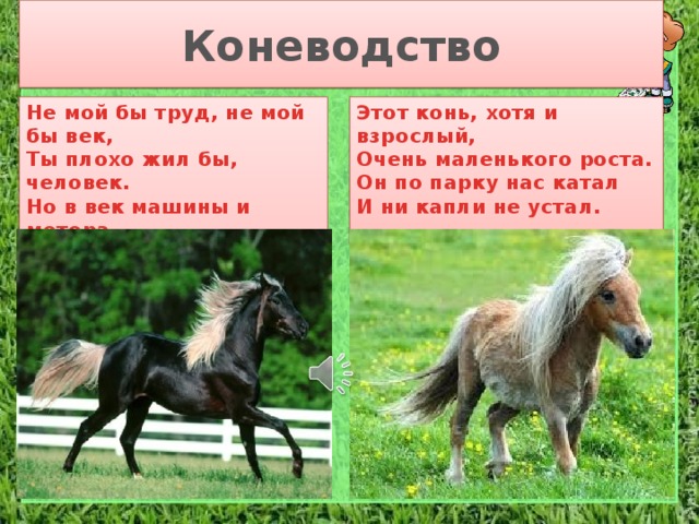 Коневодство Не мой бы труд, не мой бы век,  Ты плохо жил бы, человек.  Но в век машины и мотора.  Боюсь, в отставке буду скоро. Этот конь, хотя и взрослый,  Очень маленького роста.  Он по парку нас катал  И ни капли не устал.  
