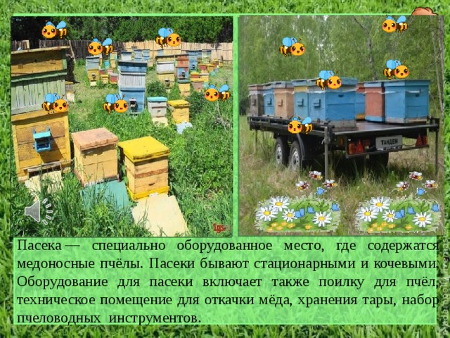 Пасека — специально оборудованное место, где содержатся медоносные пчёлы . Пасеки бывают стационарными и кочевыми. Оборудование для пасеки включает также поилку для пчёл, техническое помещение для откачки мёда, хранения тары, набор пчеловодных инструментов. 5 