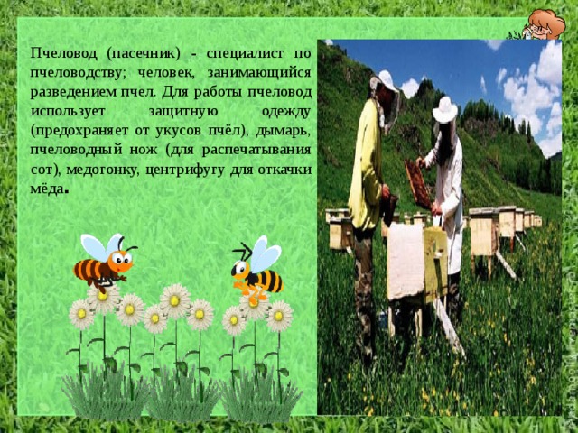 Пчеловод (пасечник) - специалист по пчеловодству; человек, занимающийся разведением пчел. Для работы пчеловод использует защитную одежду (предохраняет от укусов пчёл), дымарь, пчеловодный нож (для распечатывания сот), медогонку, центрифугу для откачки мёда . 