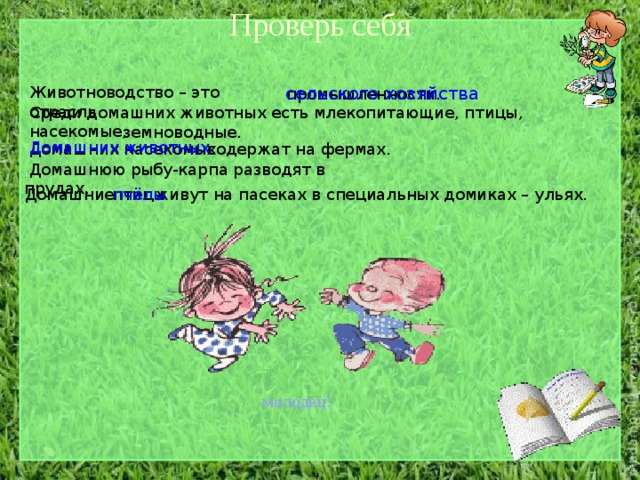 Проверь себя сельского хозяйства Животноводство – это отрасль промышленности.  Среди домашних животных есть млекопитающие, птицы,  насекомые, земноводные.  Домашних животных содержат на фермах.  Домашних насекомых  Домашнюю рыбу-карпа разводят в прудах.  Домашние  птицы  живут на пасеках в специальных домиках – ульях. пчёлы молодец! 