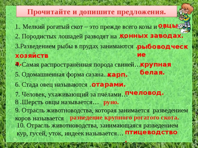 Прочитайте и допишите предложения. овцы.  Мелкий рогатый скот – это прежде всего козы и … конных заводах. 2. Породистых лошадей разводят на …. 3.Разведением рыбы в прудах занимаются …. рыбоводческие  хозяйства. крупная белая. 4. Самая распространённая порода свиней…. 5. Одомашненная форма сазана… карп. 6. Стада овец называются … отарами. пчеловод. 7. Человек, ухаживающий за пчёлами… 8 .Шерсть овцы называется… руно. 9. Отрасль животноводства, которая занимается разведением коров называется разведение крупного рогатого скота. 10. Отрасль животноводства, занимающаяся разведением кур, гусей, уток, индеек называется… птицеводство. 
