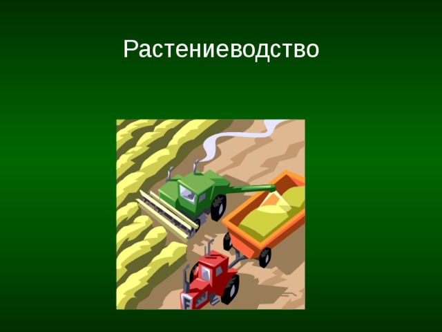  Растениеводство 