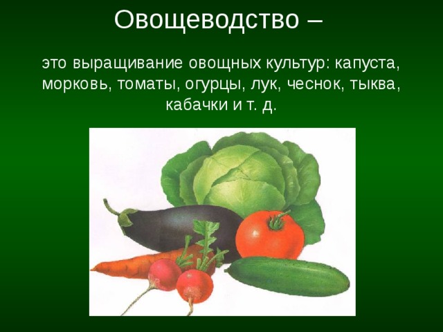 Проект по окружающему миру 4 класс овощеводство