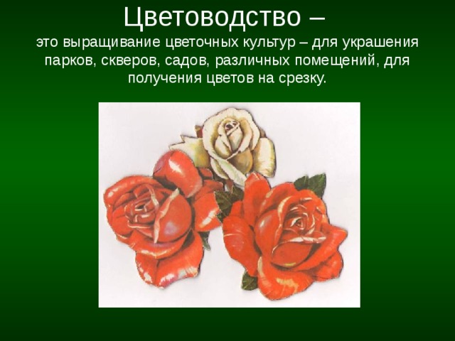 Сценарий АРТ-профи 2011 по профессии 17531 "Рабочий зелёного хозяйства"