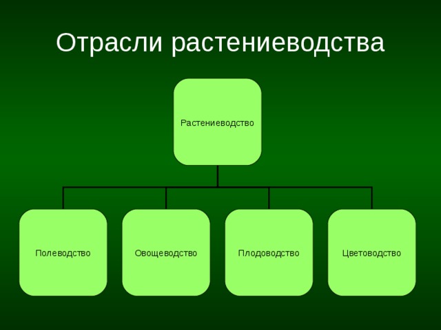 Отрасли растениеводства Растениеводство Полеводство Плодоводство Цветоводство Овощеводство 