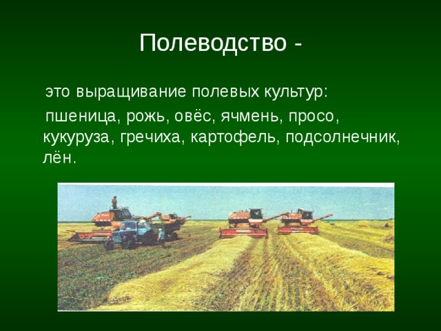 Проект по окружающему миру 4 класс полеводство