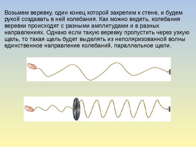 Возьмем веревку, один конец которой закрепим к стене, и будем рукой создавать в ней колебания. Как можно видеть, колебания веревки происходят с разными амплитудами и в разных направлениях. Однако если такую веревку пропустить через узкую щель, то такая щель будет выделять из неполяризованной волны единственное направление колебаний, параллельное щели.