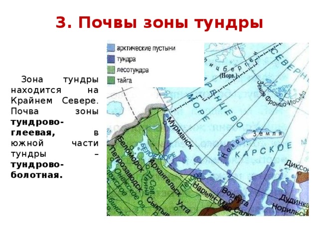 Зона тундр располагается на севере россии. Почвы Архангельской области. Арктические почвы на карте. Почвы зоны тундры.