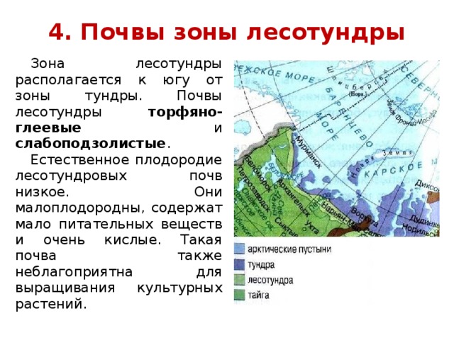 Тундра лесотундра тайга карта. Почвы Архангельской области. Почвы лесотундры.