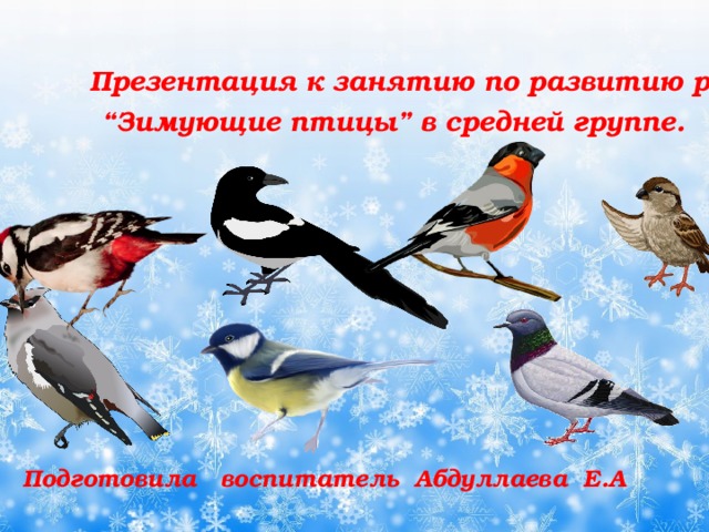 Презентация к занятию по развитию речи “Зимующие птицы” в средней группе.