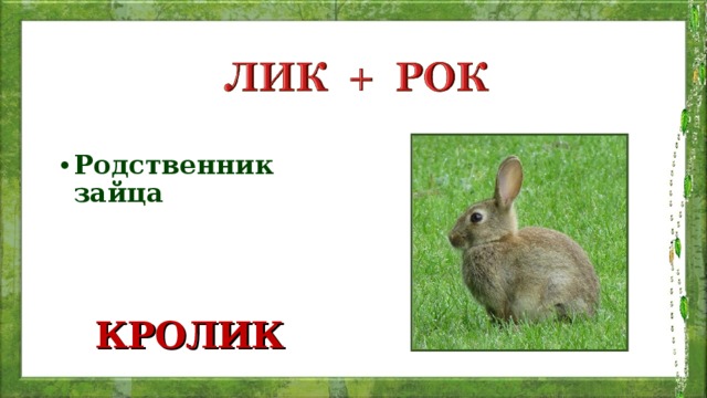 Родственник зайца КРОЛИК 