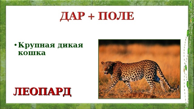 Крупная дикая кошка ЛЕОПАРД 