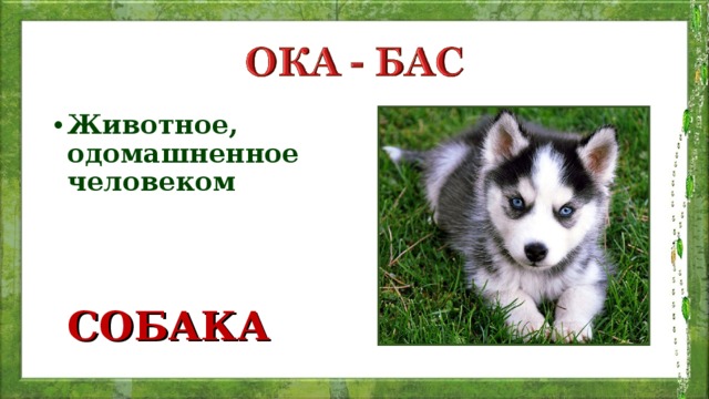 Животное, одомашненное человеком    СОБАКА  