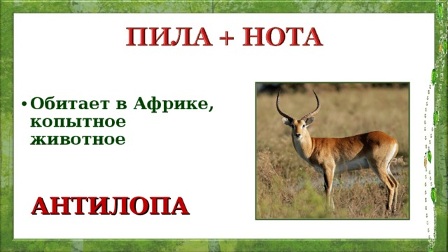 Обитает в Африке, копытное животное АНТИЛОПА 
