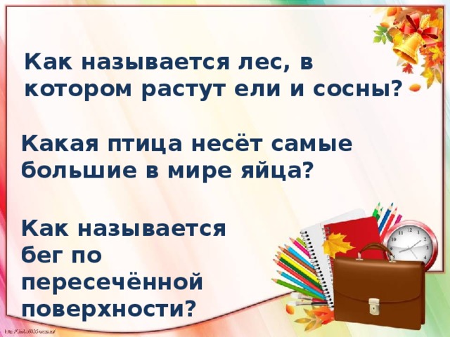 Как называется лес, в котором растут ели и сосны? Какая птица несёт самые большие в мире яйца? Как называется бег по пересечённой поверхности? 