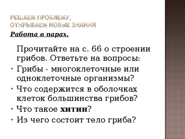 Работа в парах.   Прочитайте на с. 66 о строении грибов. Ответьте на вопросы: