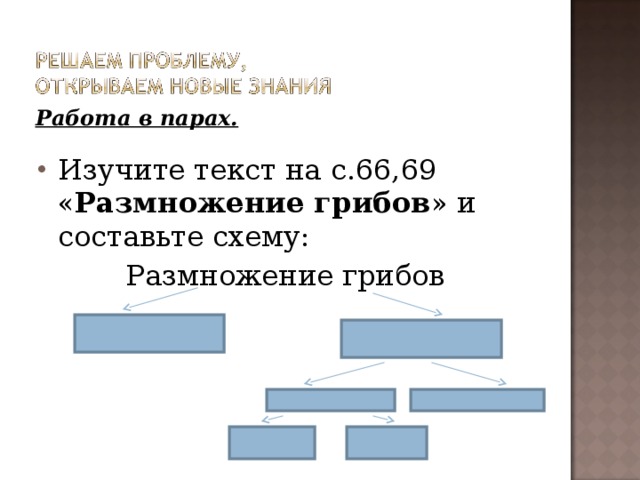 Работа в парах.  Изучите текст на с.66,69 « Размножение грибов » и составьте схему: Размножение грибов