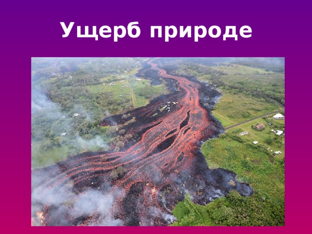 Ущерб природе 