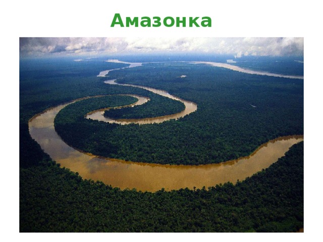 Амазонка 