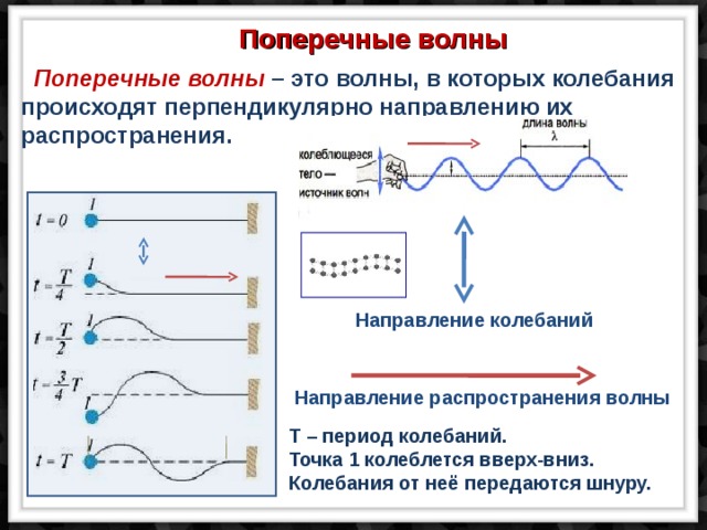 Поперечные волны в физике особенности и распространение по направлению