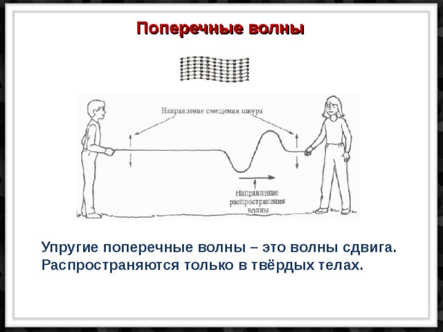 Поперечные волны  Упругие поперечные волны – это волны сдвига.  Распространяются только в твёрдых телах. 