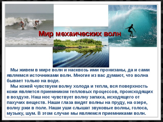 Мир мехаических волн  Мы живем в мире волн и насквозь ими пронизаны, да и сами являемся источниками волн. Многие из вас думают, что волна бывает только на воде.  Мы кожей чувствуем волну холода и тепла, вся поверхность кожи является приемником тепловых процессов, происходящих в воздухе. Наш нос чувствует волну запаха, исходящего от пахучих веществ. Наши глаза видят волны на пруду, на озере, волну ржи в поле. Наши уши слышат звуковые волны, голоса, музыку, шум. В этом случае мы являемся приемниками волн. 