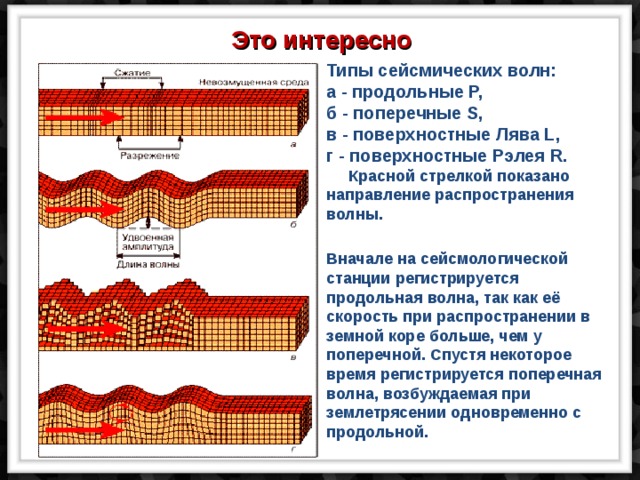 Это интересно Типы сейсмических волн: а - продольные Р, б - поперечные S, в - поверхностные Лява L, г - поверхностные Рэлея R.  Красной стрелкой показано направление распространения волны. Вначале на сейсмологической станции регистрируется продольная волна, так как её скорость при распространении в земной коре больше, чем у поперечной. Спустя некоторое время регистрируется поперечная волна, возбуждаемая при землетрясении одновременно с продольной. 