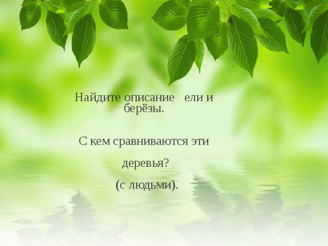               Найдите описание ели и   берёзы.       С кем сравниваются эти     деревья?     (с людьми).  