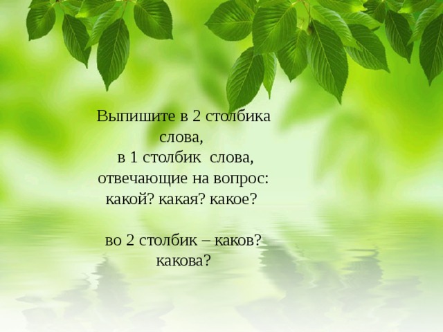    Выпишите в 2 столбика слова,  в 1 столбик слова, отвечающие на вопрос: какой? какая? какое?   во 2 столбик – каков? какова?    