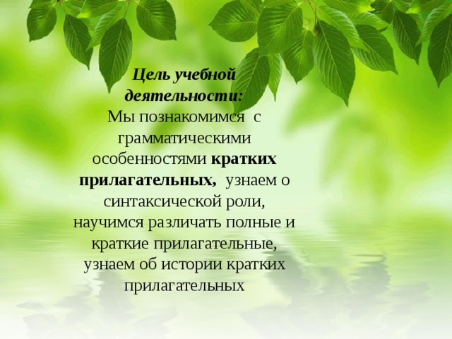      Цель учебной деятельности:  Мы познакомимся с грамматическими особенностями кратких прилагательных, узнаем о синтаксической роли, научимся различать полные и краткие прилагательные, узнаем об истории кратких прилагательных          