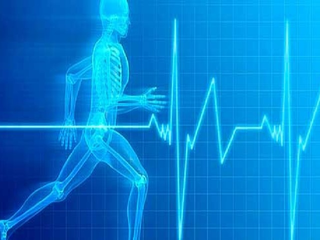 Сердечнососудистая система Так же баскетбол помогает организму в развитии сердечнососудистой системы, что происходит благодаря нормированной физической нагрузке. Сердцебиение спортсменов во время матча достигает от 180 до 230 ударов  в минуту, при этом артериальное давление не превышает 180-200 мм ртутного столба. 
