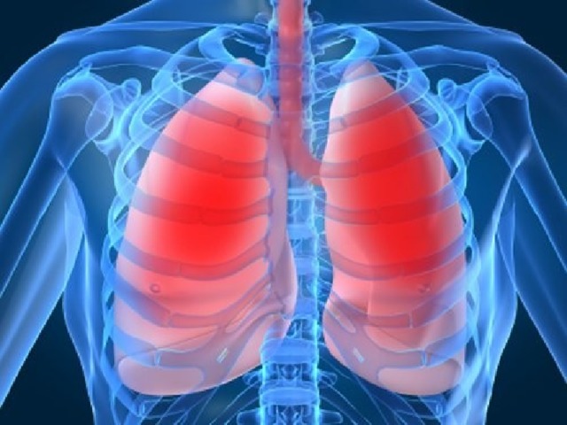 Дыхательная система Благодаря повышенной частоте дыхательных движений достигающей 50 — 60 циклов за одну минуту с объёмом в пределах 120-150 литров во время игры в баскетбол, жизненная ёмкость лёгких со временем увеличивается. Постепенное развитие дыхательных органов делает человека более энергичным и выносливым, что благотворное влияет на здоровье. 