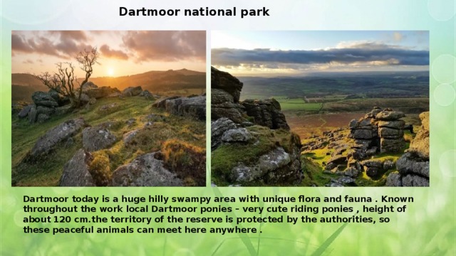  Dartmoor national park      Dartmoor today is a huge hilly swampy area with unique flora and fauna . Known throughout the work local Dartmoor ponies – very cute riding ponies , height of about 120 cm.the territory of the reserve is protected by the authorities, so these peaceful animals can meet here anywhere . 