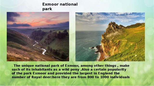 Exmoor national park   . The unique national park of Exmoor, among other things , make such of its inhabitants as a wild pony .Also a certain popularity of the park Exmoor and provided the largest in England the number of Royal deer:here they are from 800 to 1000 individuals  