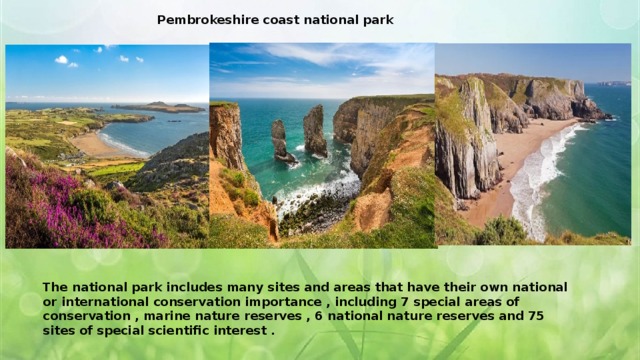  Pembrokeshire coast national park  . The national park includes many sites and areas that have their own national or international conservation importance , including 7 special areas of conservation , marine nature reserves , 6 national nature reserves and 75 sites of special scientific interest . 