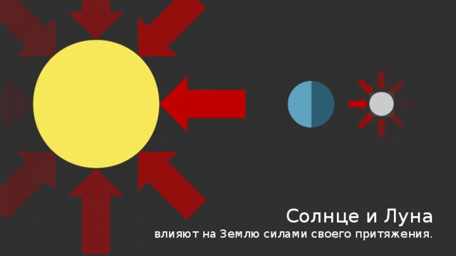 Солнце и Луна влияют на Землю силами своего притяжения. 