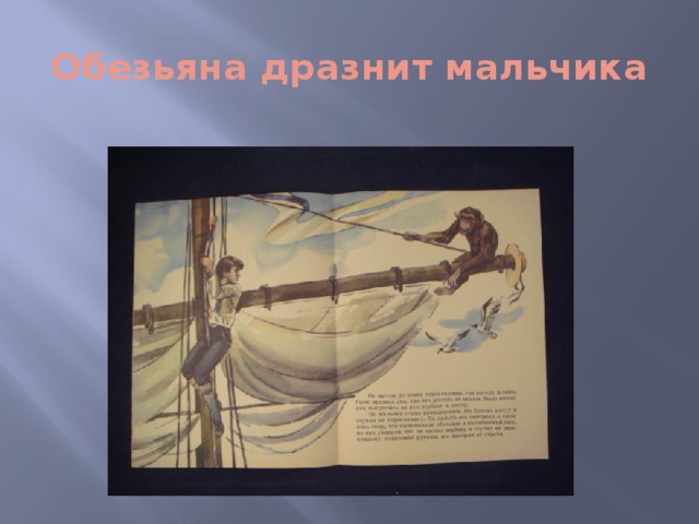 Обезьяна дразнит мальчика 