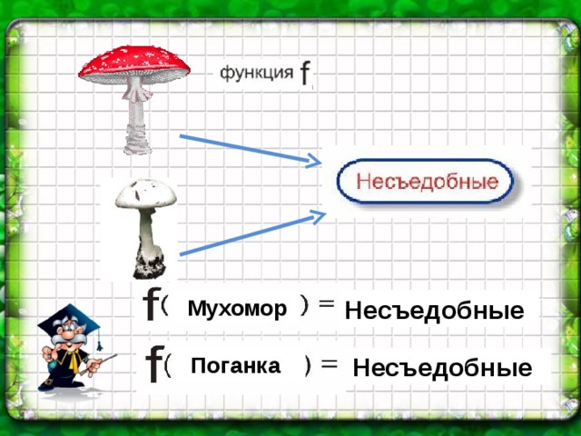  Мухомор Несъедобные  Поганка Несъедобные 