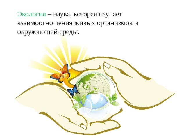 Экология – наука, которая изучает взаимоотношения живых организмов и окружающей среды. 