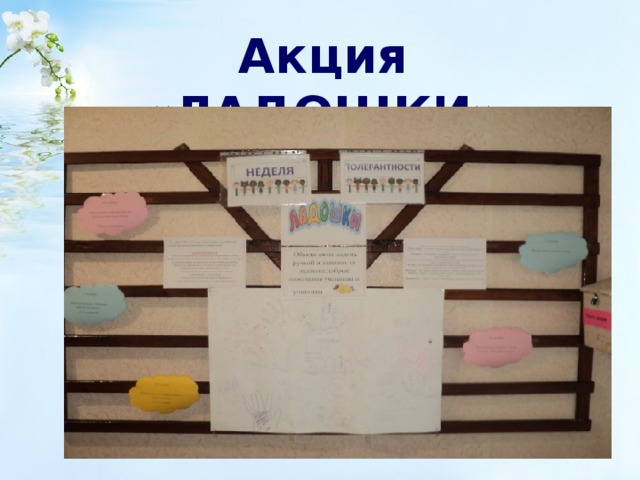 Акция «ЛАДОШКИ» 