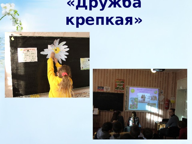 «Дружба крепкая» 