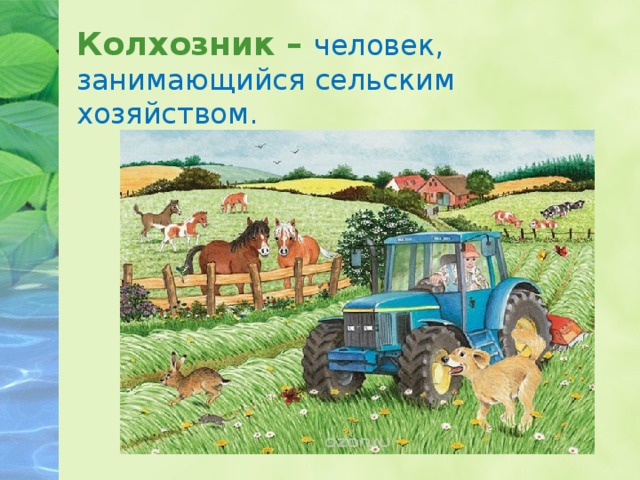 Колхозник – человек, занимающийся сельским хозяйством. 