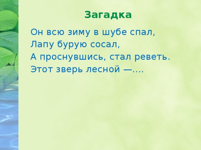 Загадка Он всю зиму в шубе спал, Лапу бурую сосал, А проснувшись, стал реветь. Этот зверь лесной —.... 