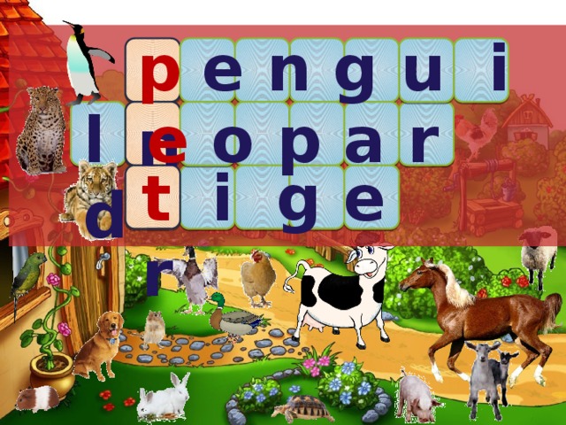 p  e n g u i n l  e o p a r d t  i g e r 